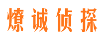 带岭侦探